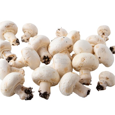 Шампиньоны свежие 500 г - купить в Инте